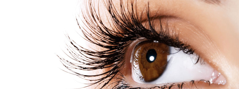 Lentilles De Couleur 3 Faux Cils