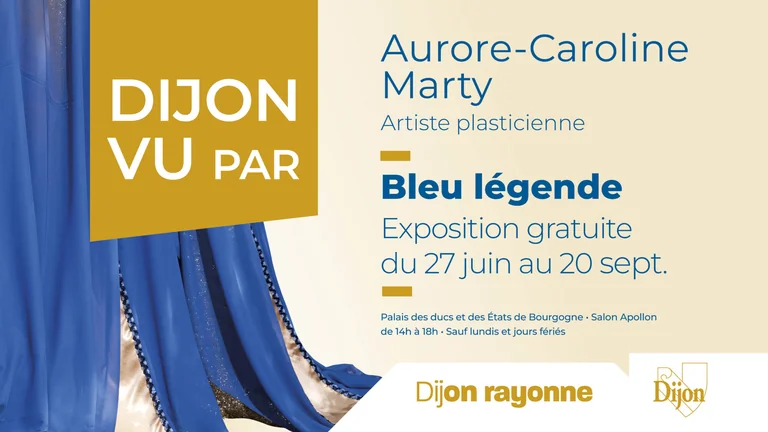 À Dijon, un roi bleu change le regard sur la ville: ce qu'il faut retenir