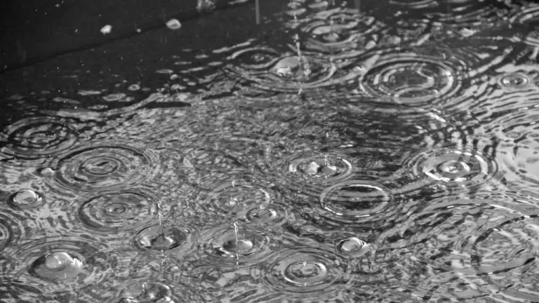 Gouttes de pluie formant des ondes concentriques dans une flaque d'eau urbaine.