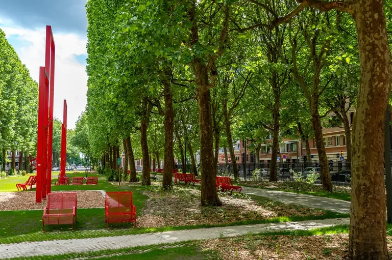 À Lille, une place minérale devient un parc de quartier