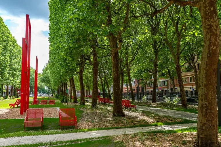 À Lille, une place minérale devient un parc de quartier