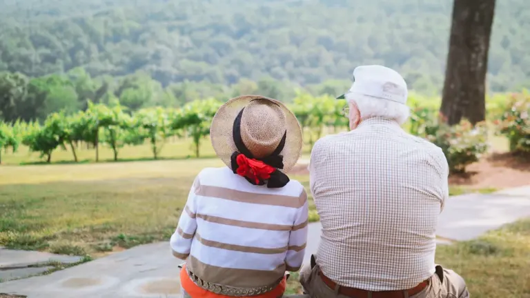 Un couple de seniors assis de dos face à un paysage verdoyant et arboré.