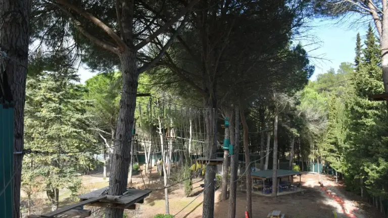 Parcours d'accrobranche avec des plateformes en bois suspendues entre les troncs de pins.