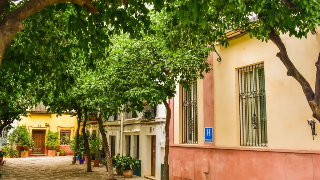 Une ruelle ombragée avec des arbres méditerranéens et des façades colorées à Nîmes.