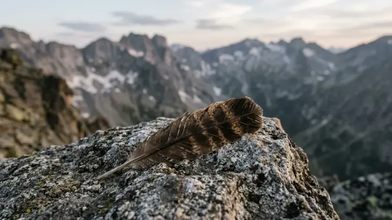 Une plume brune rayée repose sur un rocher escarpé avec des montagnes en arrière-plan.