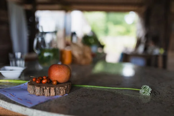 Près d’Orléans, un potager devient lieu de rencontre: ce qu'il faut retenir