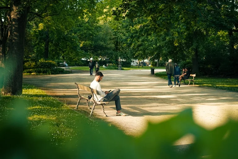 Toulouse: les parcs ferment plus tôt face au vent