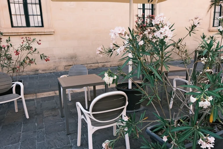 À Dinan, le Café sophro propose une pause à 1 €