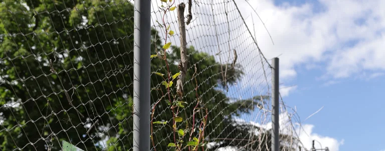 Ex(s)istere à Saint-Étienne : 14 plantes en accès libre: les dates clés