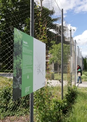 Ex(s)istere à Saint-Étienne : 14 plantes en accès libre: les dates clés