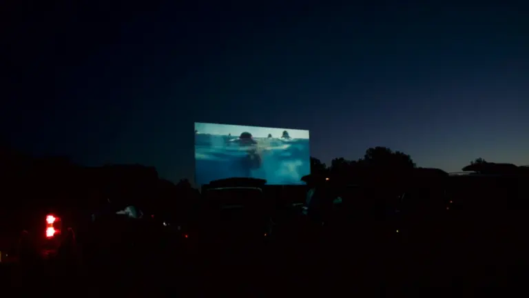 Grenoble : une soirée entre concert et cinéma au Parc Condé
