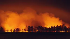 Un vaste incendie ravage une zone forestière près d'un champ pendant la nuit.
