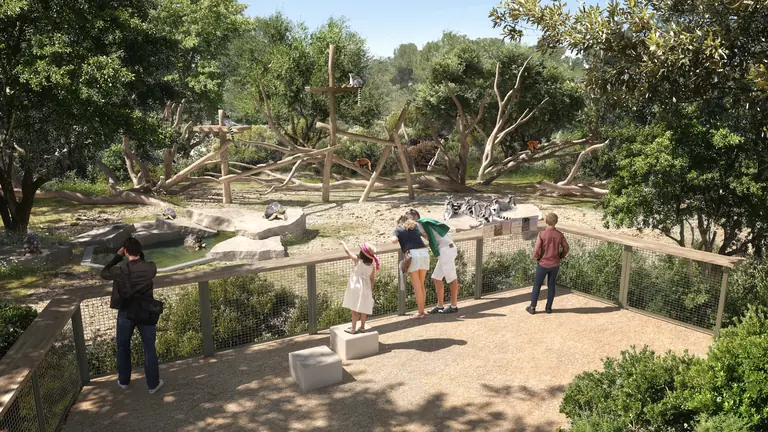 Montpellier : 29 mois sans zoo avant sa métamorphose