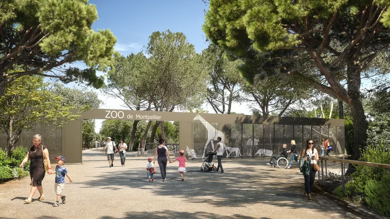 Montpellier : 29 mois sans zoo avant sa métamorphose