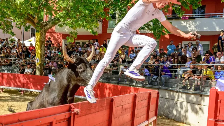 Montpellier : six sorties, dont deux gratuites ce week-end