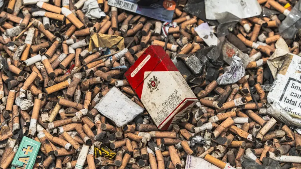 Une grande quantité de mégots de cigarettes accumulés sur le sol urbain.