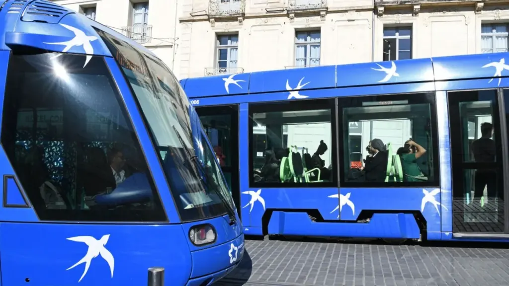 Deux tramways bleus décorés d'oiseaux blancs circulant sur une voie pavée urbaine ensoleillée.