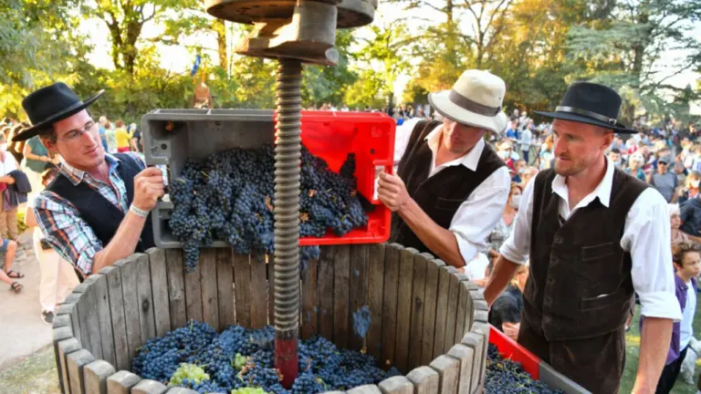 Ban des Vendanges à Avignon : le programme du 29 août 2026: ce qu’il faut retenir