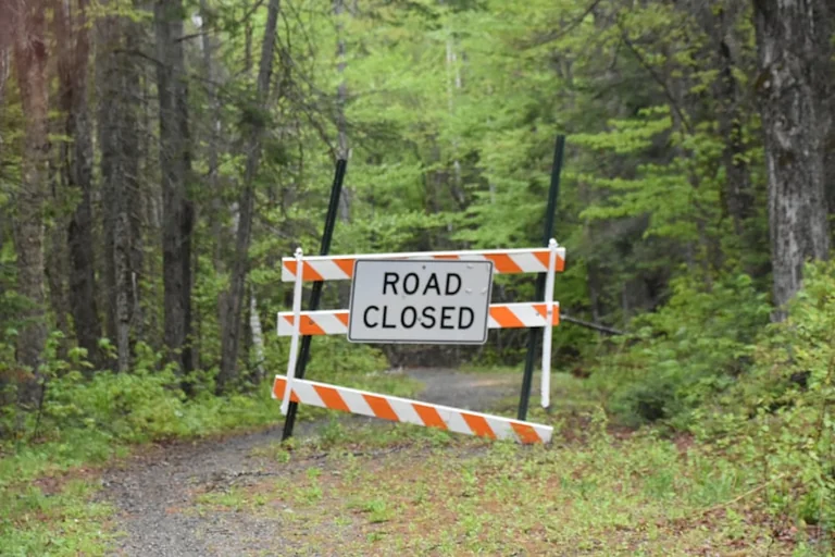 Châtenay-Malabry: sorties forêt et VTT en zone à risque