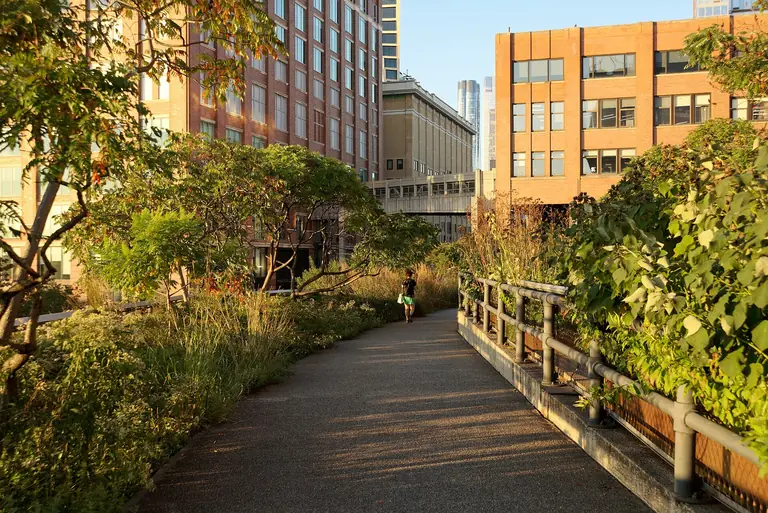 Parc de la High Line à New York
