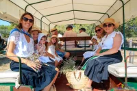 Montpellier : 3 fêtes votives gratuites jusqu’au 30 août